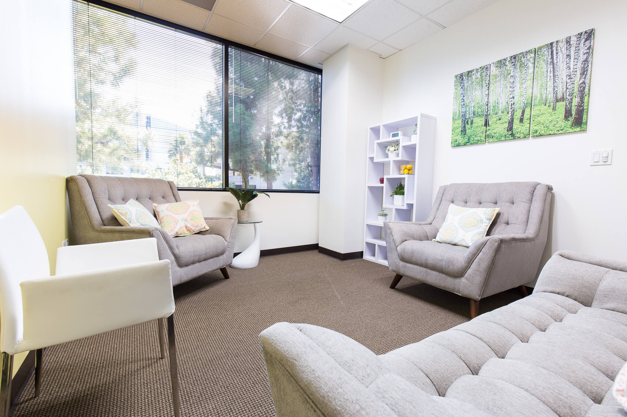 Group therapy room at Woodland Hills